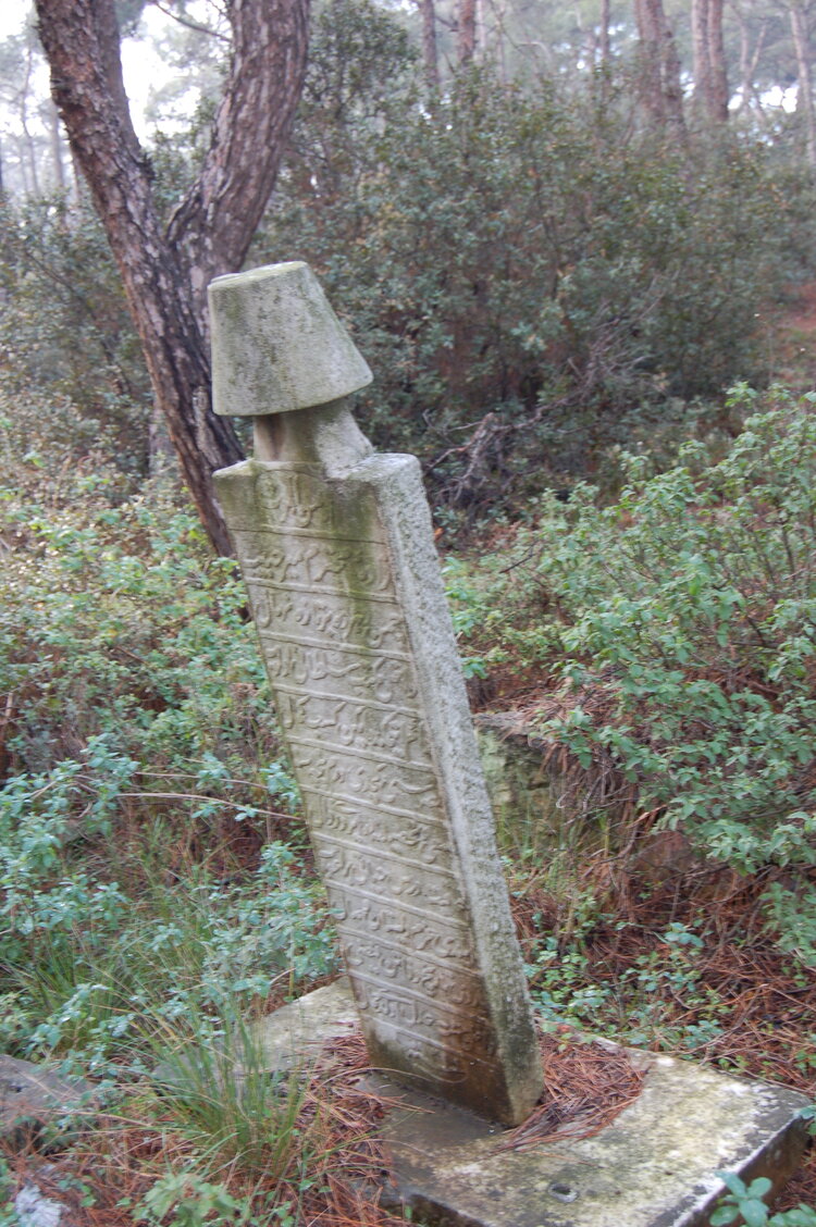 an1_011314.jpg