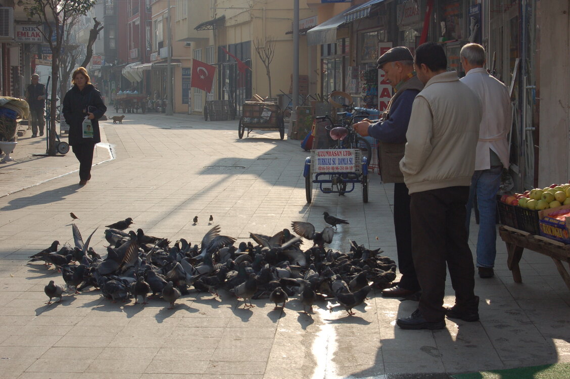 an1_011321.jpg