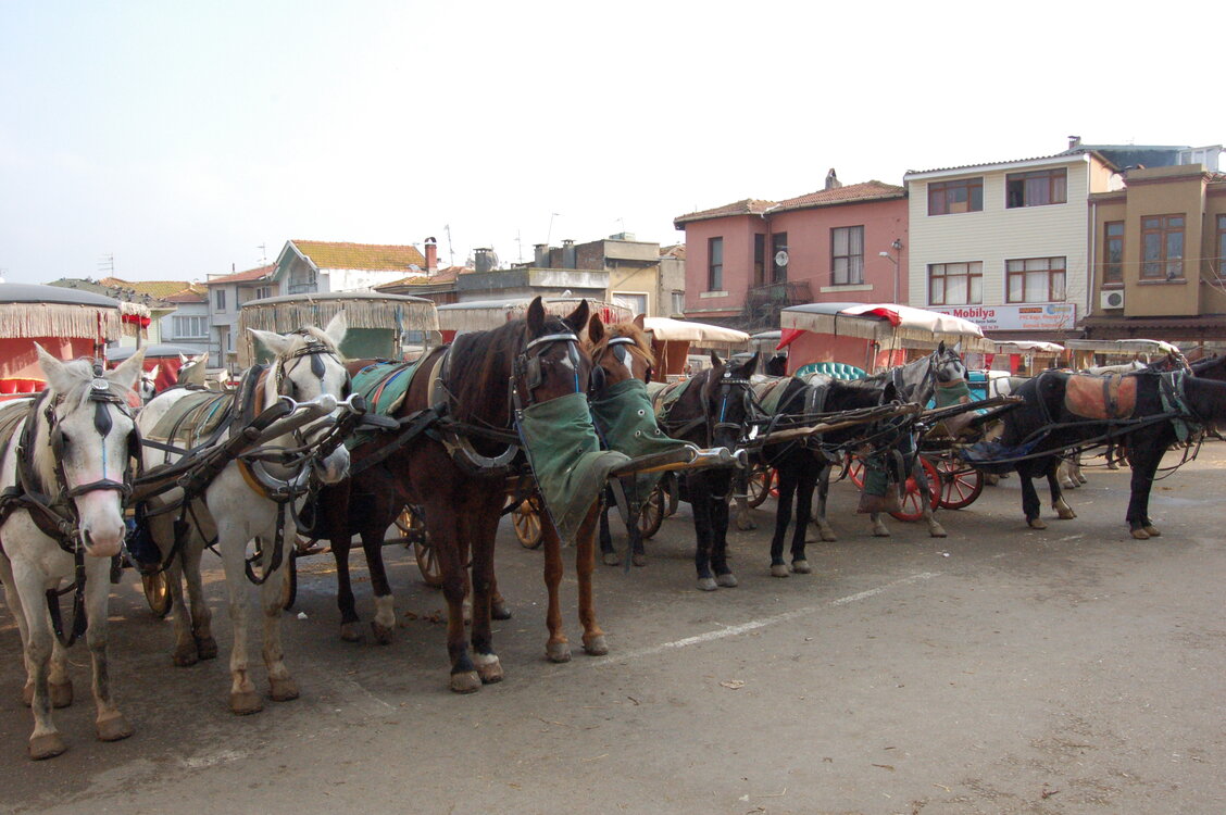 an1_011340.jpg