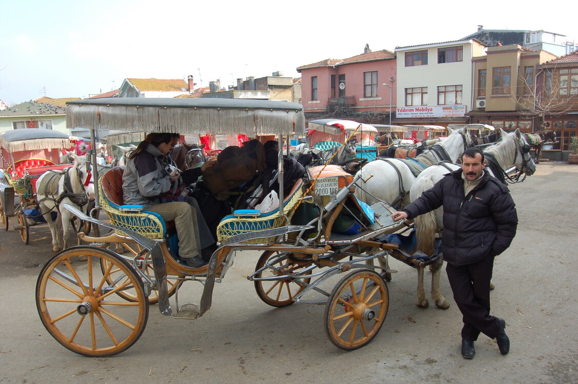an1_011342.jpg