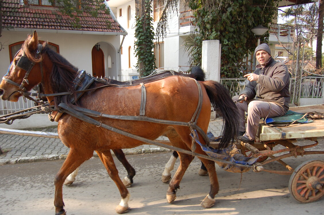 an1_011345.jpg