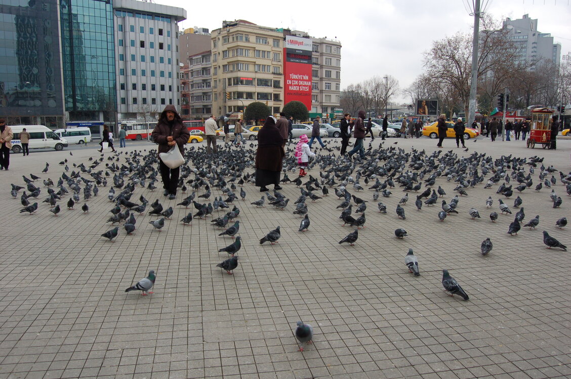 an1_011385.jpg