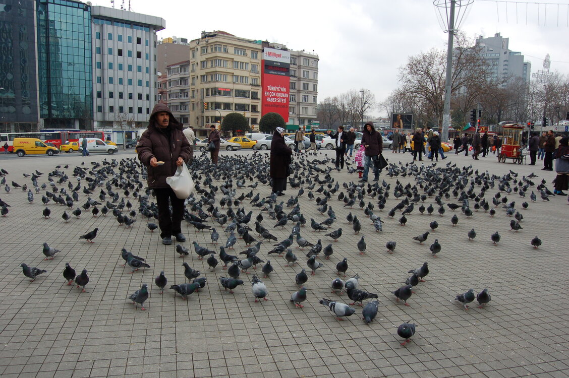 an1_011386.jpg