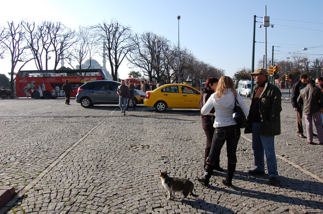 an1_011475.jpg