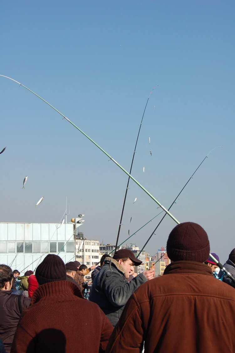 an1_011499.jpg