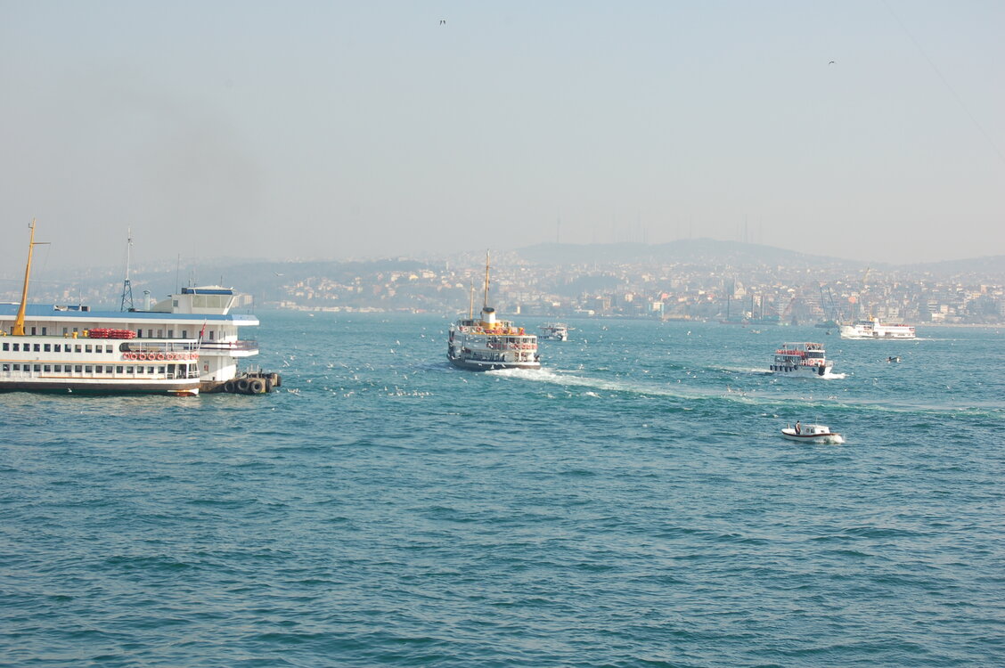 an1_011501.jpg
