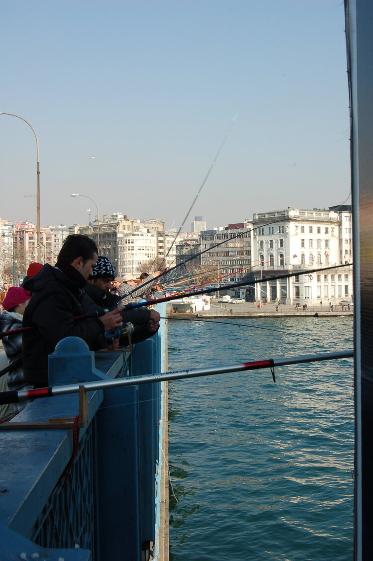 an1_011502.jpg