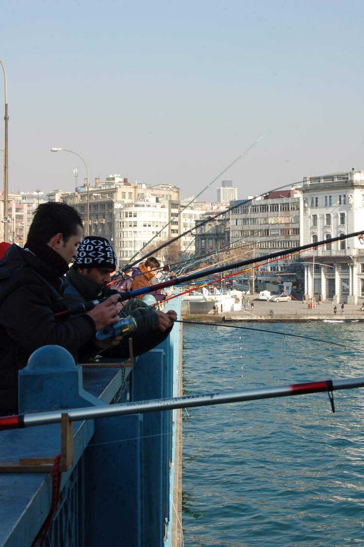 an1_011503.jpg