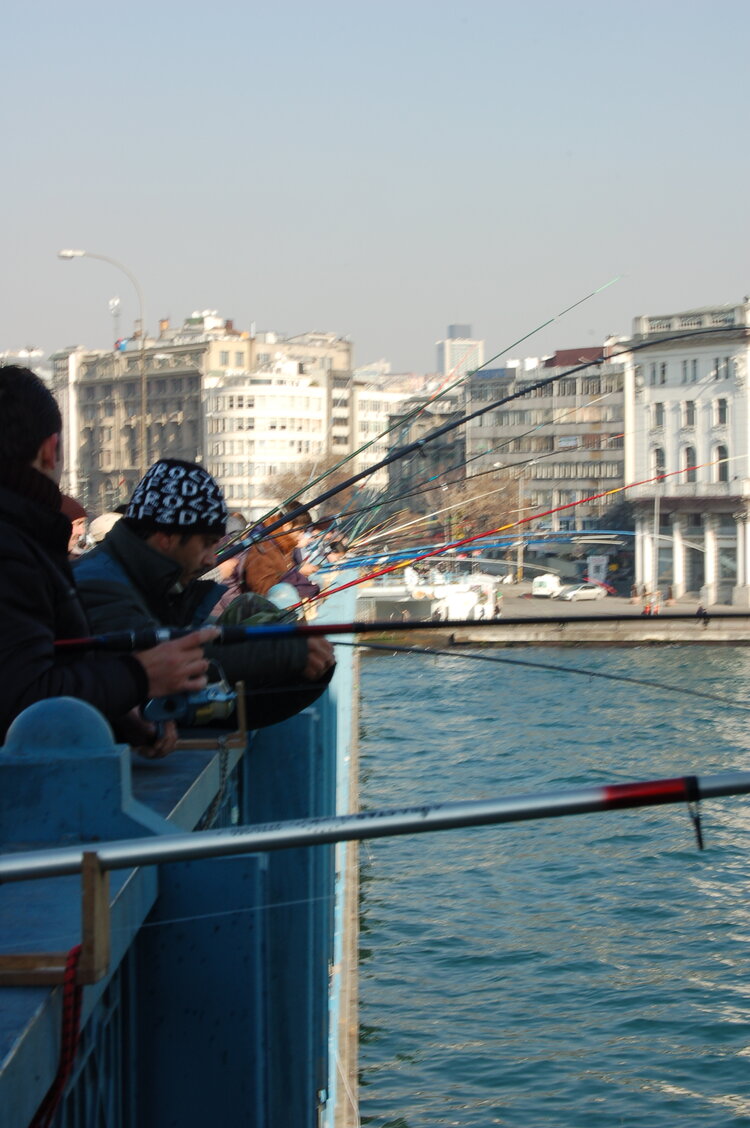 an1_011504.jpg