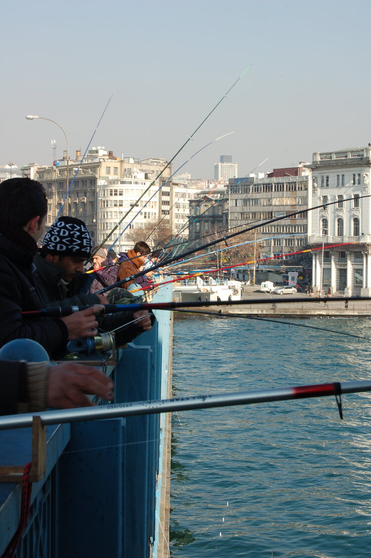 an1_011505.jpg