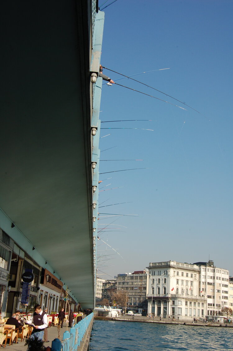 an1_011511.jpg