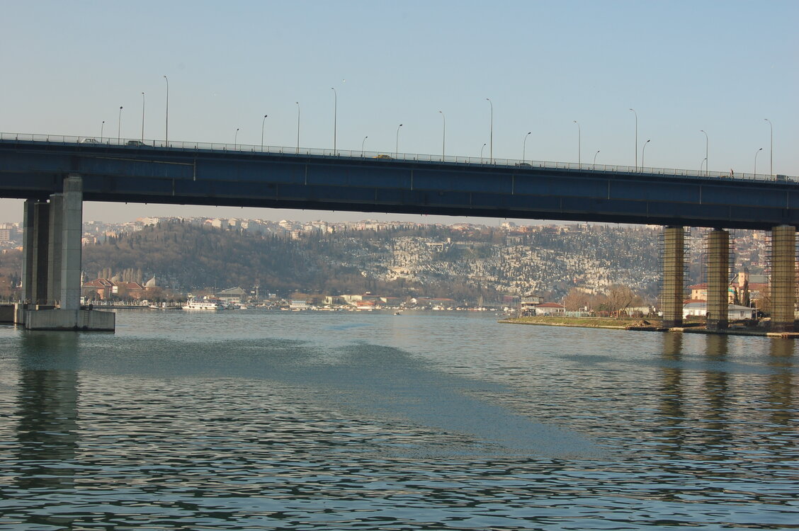 an1_011566.jpg