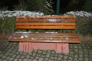 an1_010785.jpg