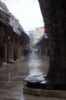 an1_010793.jpg