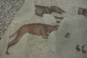 an1_010809.jpg