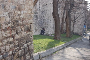 an1_011154.jpg