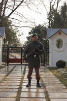 an1_011164.jpg