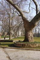 an1_011166.jpg