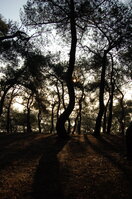 an1_011292.jpg