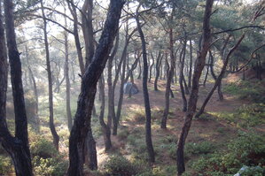 an1_011296.jpg