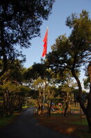 an1_011297.jpg