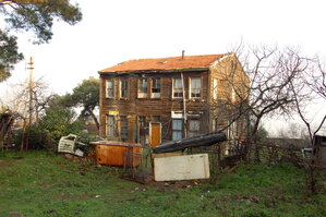 an1_011299.jpg