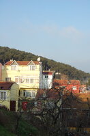 an1_011303.jpg