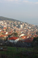 an1_011306.jpg