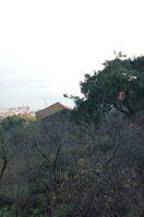 an1_011308.jpg
