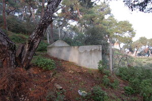 an1_011311.jpg