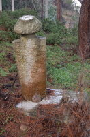 an1_011313.jpg
