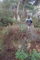an1_011315.jpg