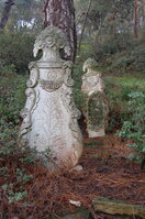 an1_011316.jpg