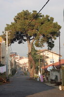 an1_011318.jpg