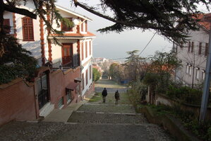an1_011320.jpg
