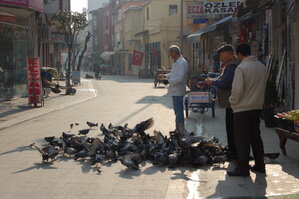 an1_011322.jpg