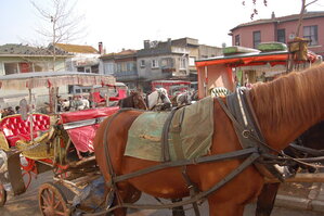 an1_011339.jpg