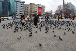 an1_011385.jpg