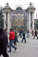an1_011403.jpg