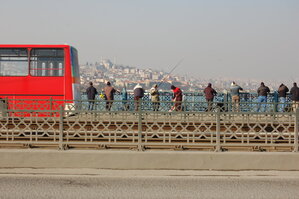 an1_011491.jpg