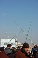 an1_011498.jpg