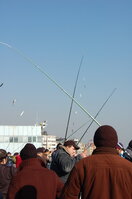 an1_011499.jpg
