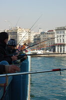 an1_011505.jpg