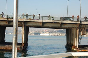 an1_011551.jpg