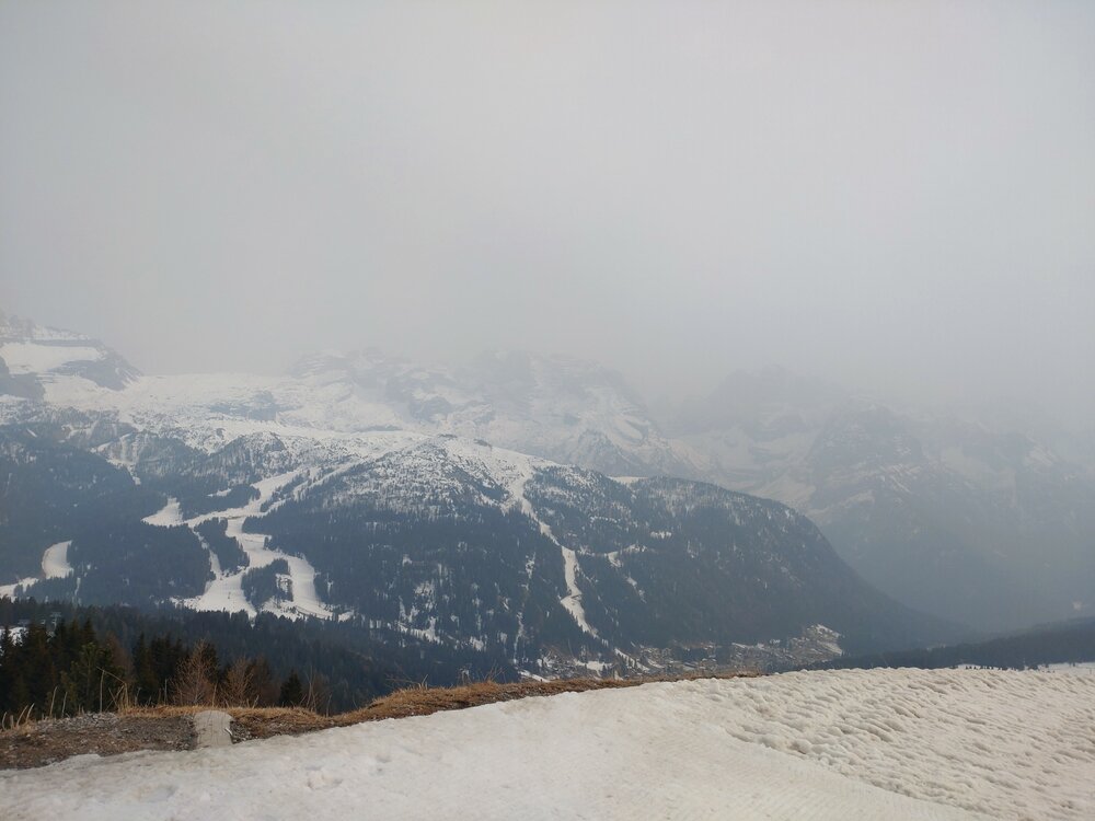 DSC_2248.JPG