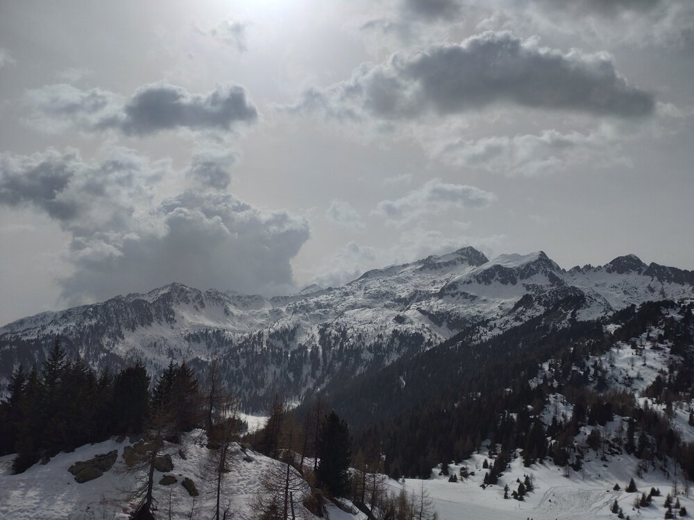 DSC_2255.JPG