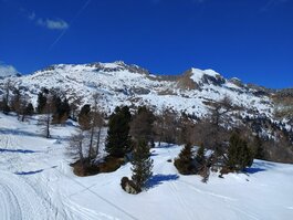 DSC_2189.JPG
