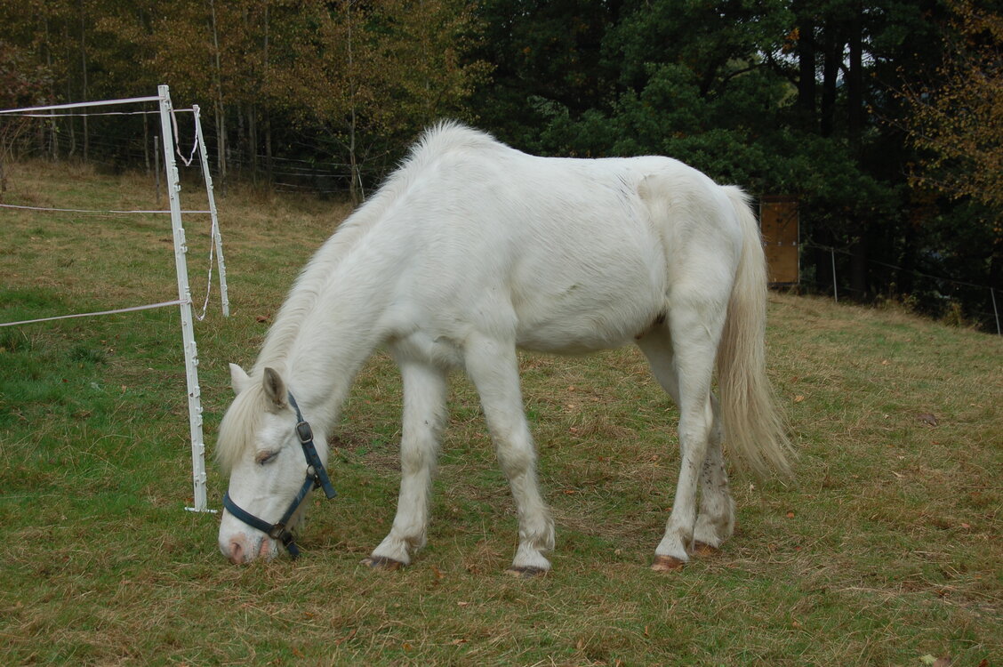 an1_040466.jpg