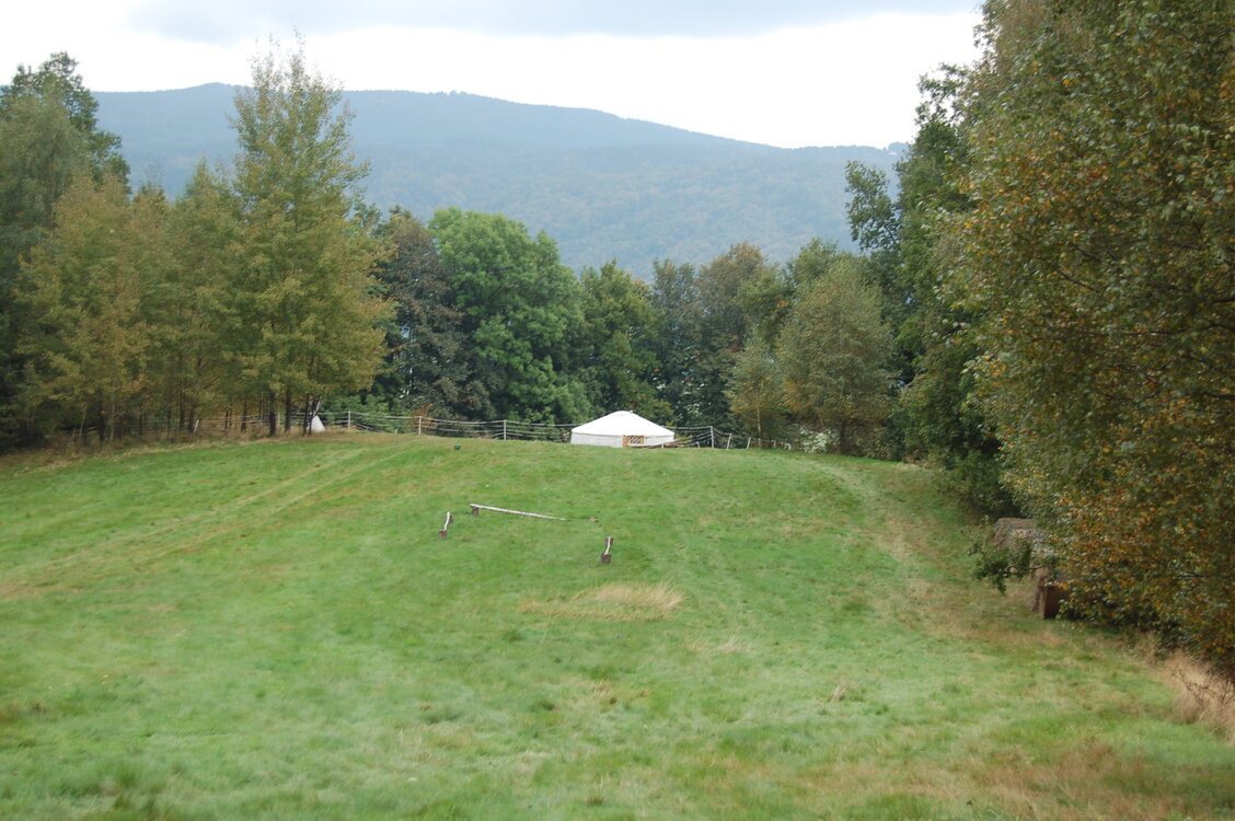 an1_040495.jpg