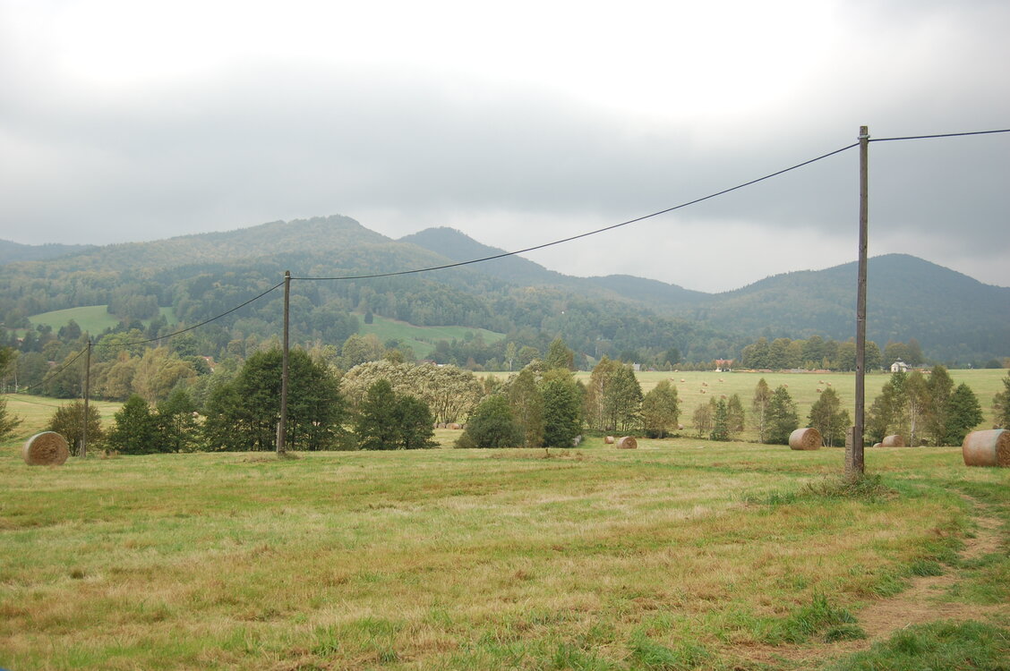 an1_040531.jpg